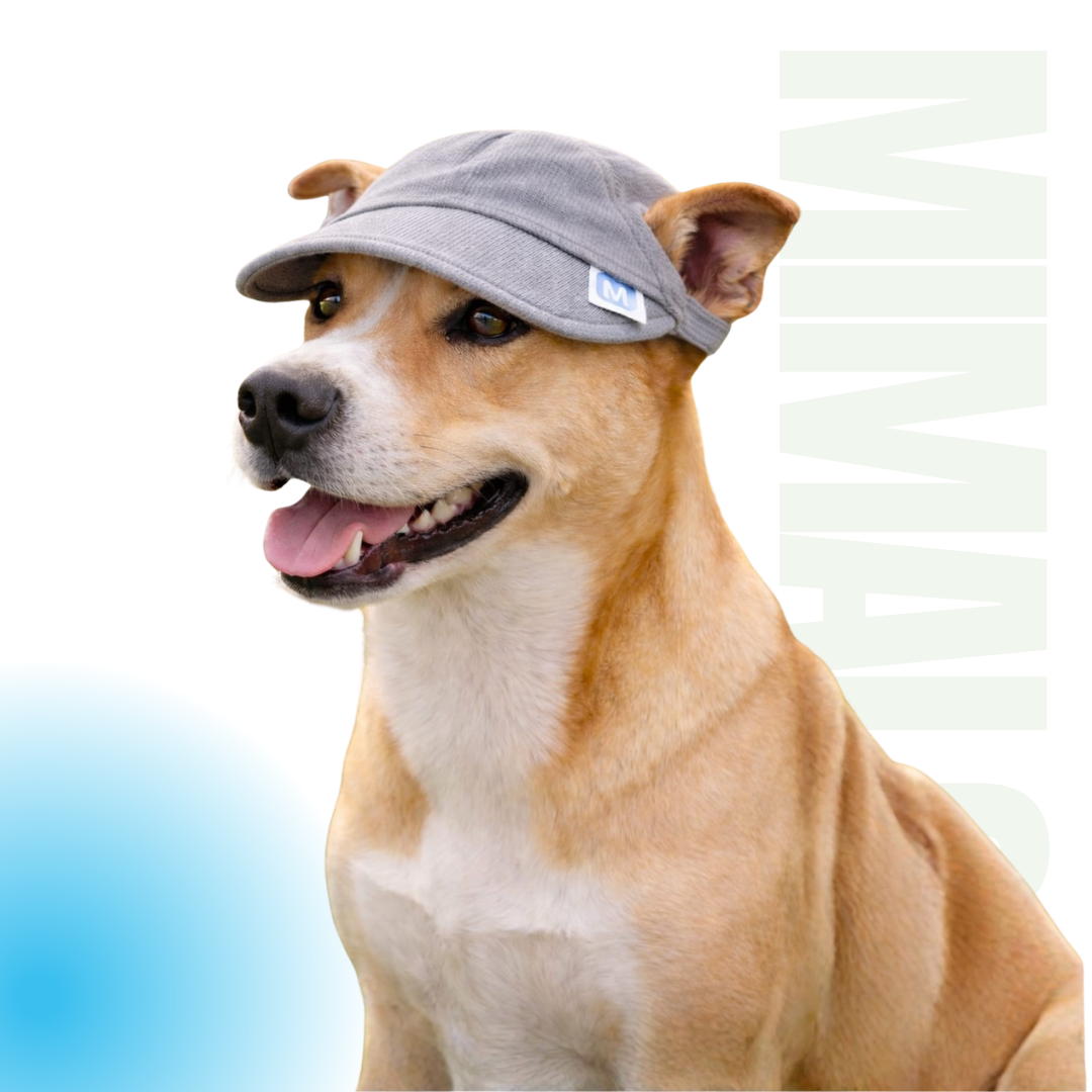 Gorras