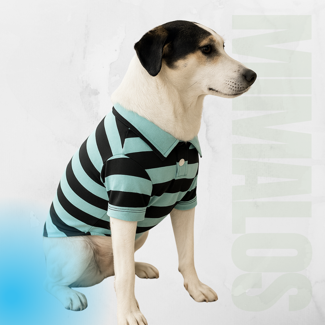 Camiseta Polo