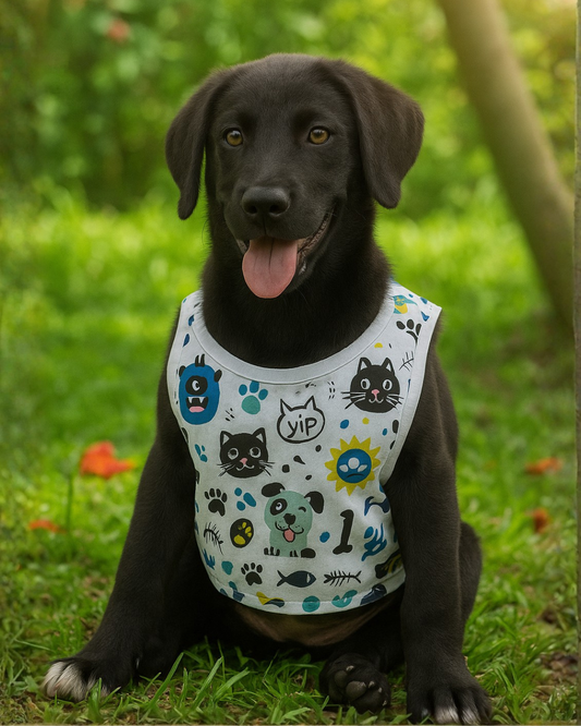 Camisilla Esencial - Animalitos