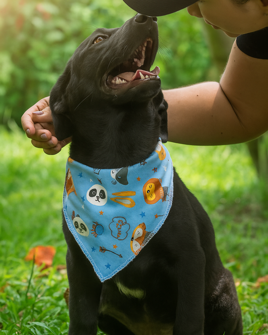 Pañoletas - Animalitos